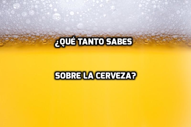 Quiz sabelotodo cerveza sabihondo examen examinación divertido diversión