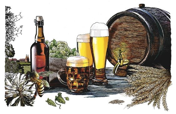 Cheve chela cerveza vaso tarro barril cebada lúpulo abeja botella fondo blanco pintura cuadro obra arte alemán alemana abeja insecto polinización