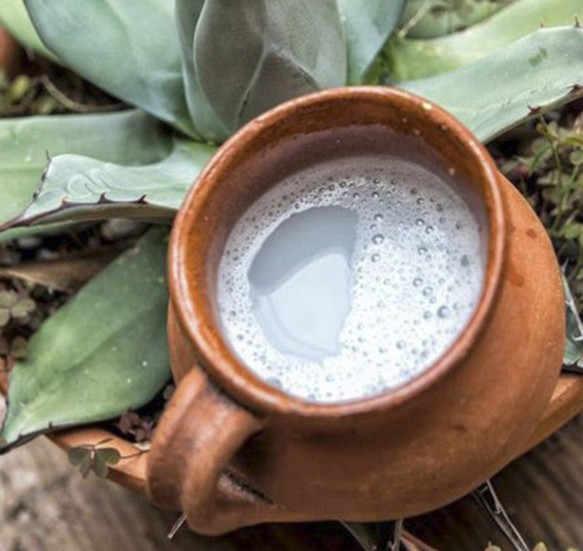 Delicioso pulque tradicional agave blanco cheve chela cerveza cervezálogo