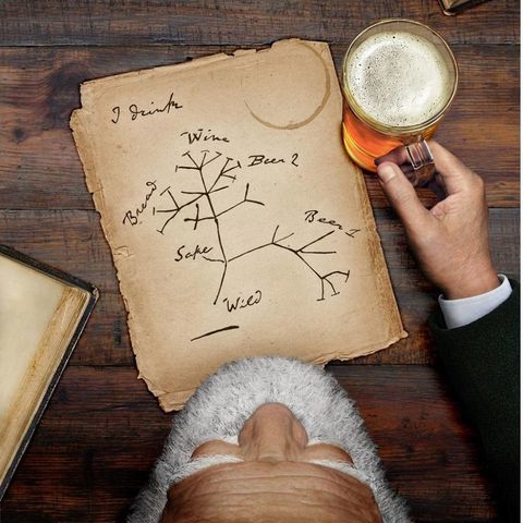 árbol genealógico raíz ramificaciones cerveza vino pan sake ciencia darwin cheve tarro